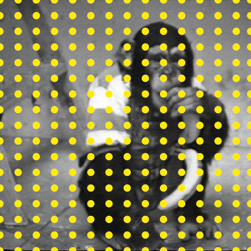 Filmscreening: Videos aus der Sammlung Ringier