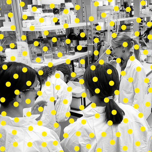 Girls go Chemistry - Schnuppertag an der ETH