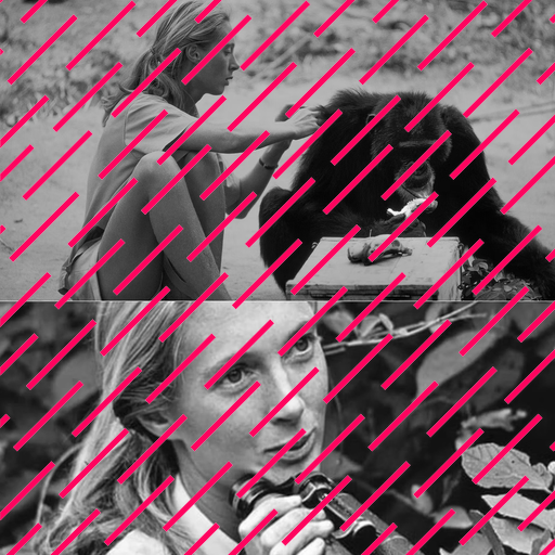 Jane: Eine filmische Würdigung