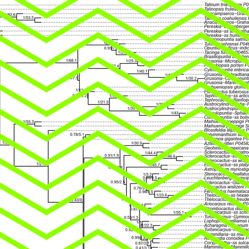Matinée: Eine neue Ordnung der Kakteen