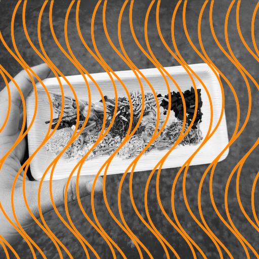 Pflanzentag. Ein Sonntag für die Sinne