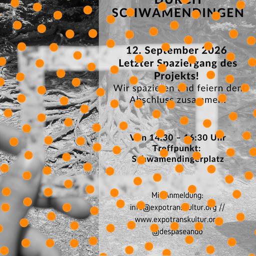 Spaziergang Durch Schwamendingen: LAST WALK!