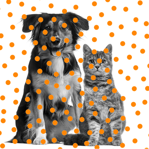 Cats & Dogs Event