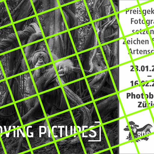 MOVING PICTURES Fotoausstellung