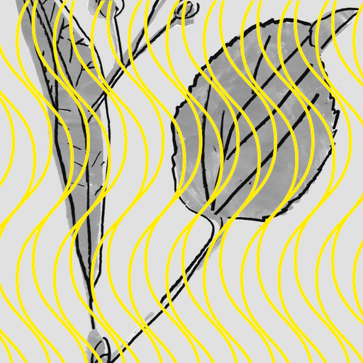 Riikka Tauriainen: «Altstetten Alphabet»