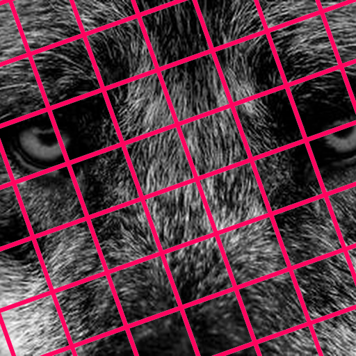 Stadttour Zürich - Born to be wild I